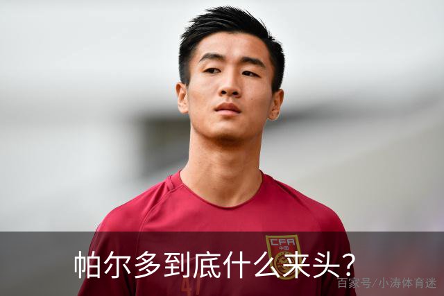 帕尔多到底什么来头？