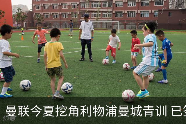 曼联今夏挖角利物浦曼城青训 已签热刺新星再盯两目标
