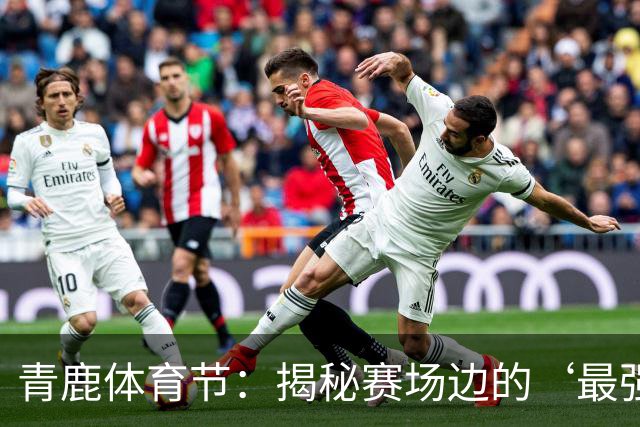 青鹿体育节：揭秘赛场边的‘最强大脑’——教练们的智谋与坚守